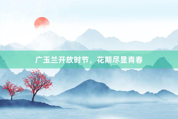 广玉兰开放时节,花期尽显青春