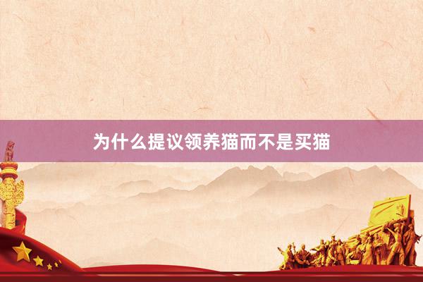 为什么提议领养猫而不是买猫