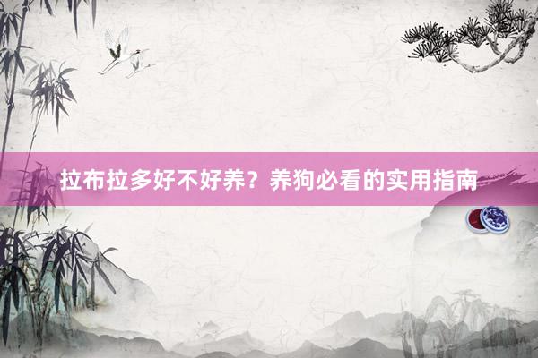 拉布拉多好不好养？养狗必看的实用指南